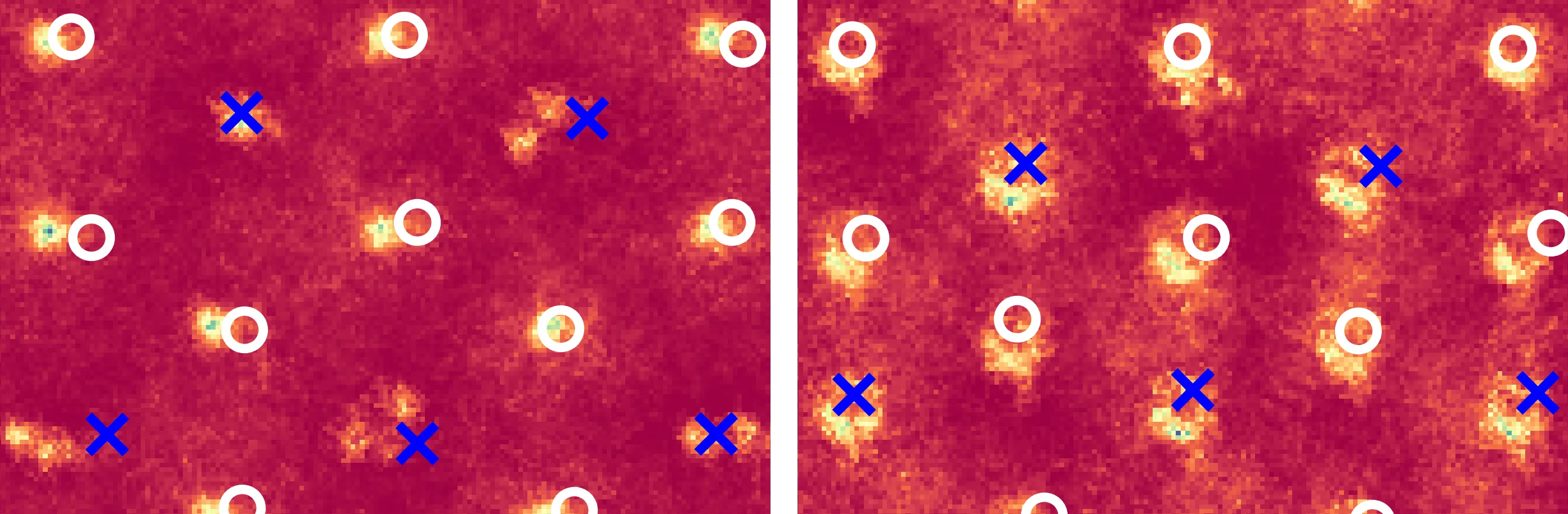 Two in-plane probability density maps of water oxygens across the MoS2 basal plane, at low and high lithium loading, with molybdenum and sulfur lattice positions marked.