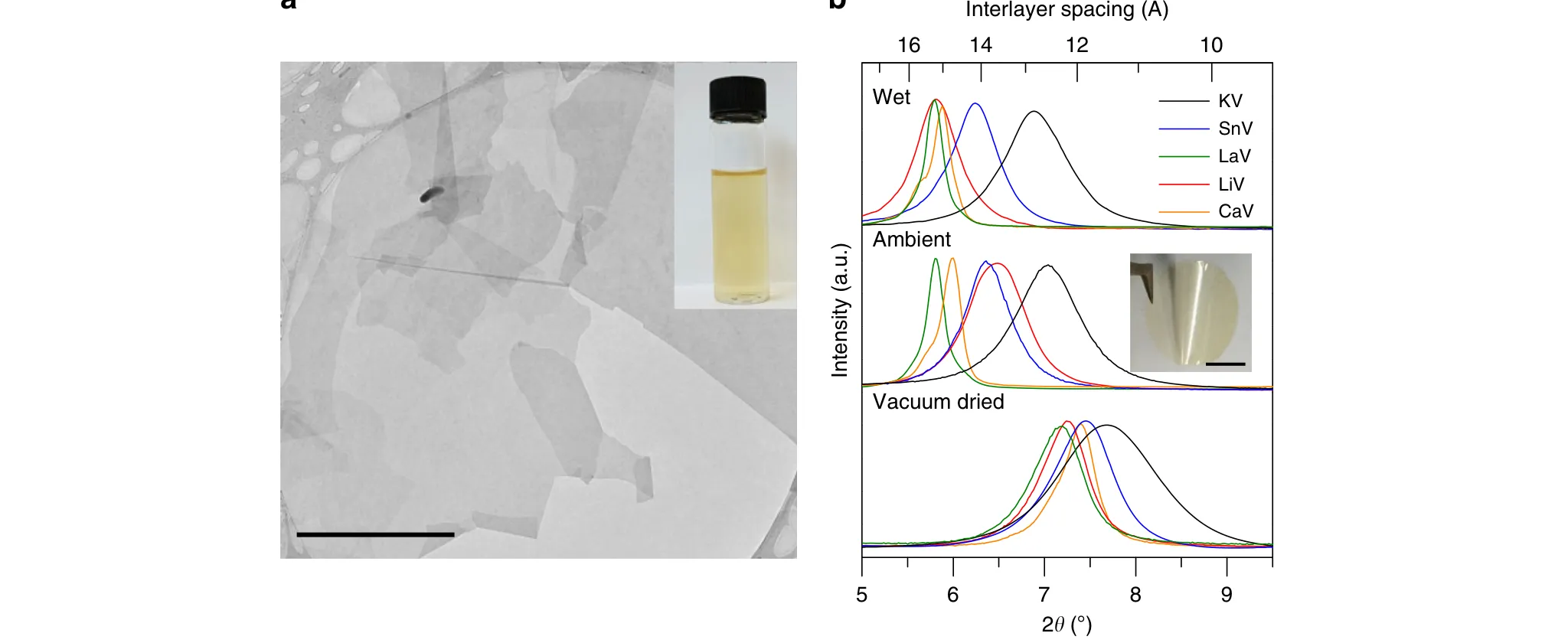Transmission electron micrograph of exfoliated lithium vermiculite flakes, and X-ray diffraction of five cation-exchanged laminates in vacuum-dried, ambient and wet states.