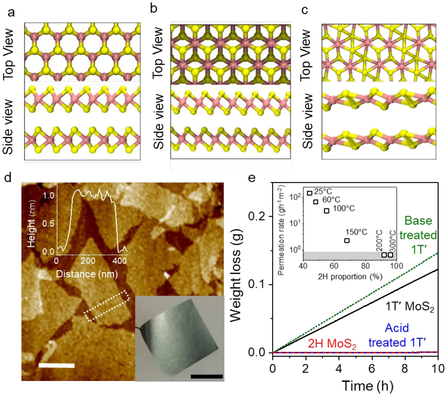 Schematic top and side views of the 2H, 1T and 1T-prime MoS2 phases, atomic force microscopy of exfoliated flakes with a height profile, a photograph of a free-standing membrane, and weight loss against time for four membrane treatments.