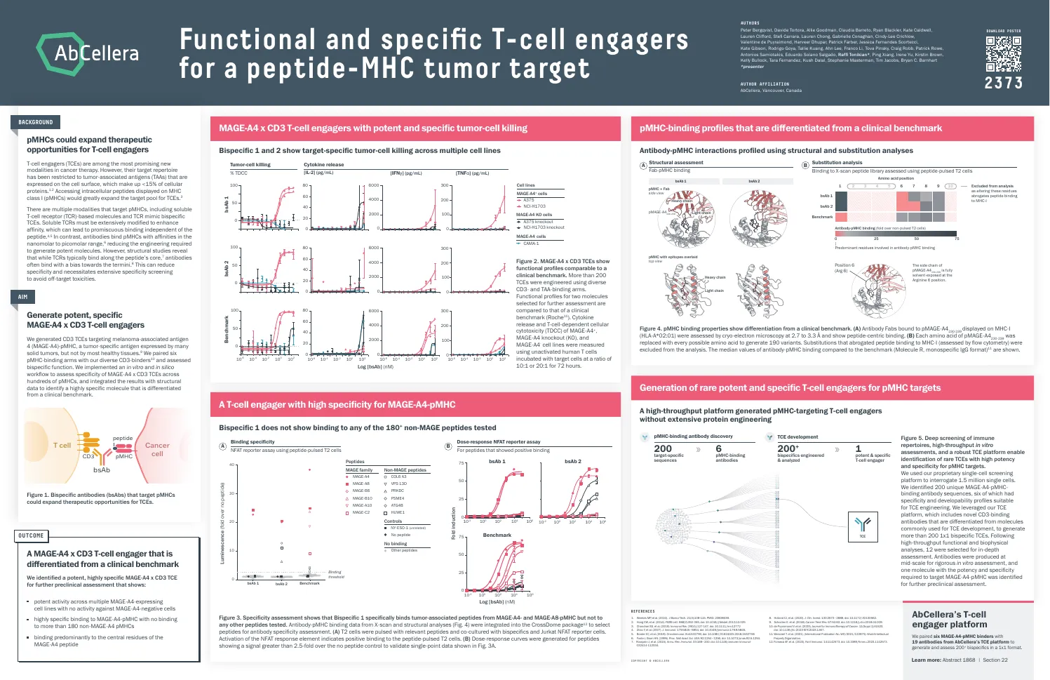 AACR 2024 poster 2373: functional and specific T-cell engagers for a peptide-MHC
tumour target. Panels covering killing and cytokine release against MAGE-A4-positive,
-negative and knockout lines, binding across a library of more than 180 non-MAGE peptides,
cryo-EM structures of the antibody on peptide-MHC, and a positional scan across the ten
peptide positions.